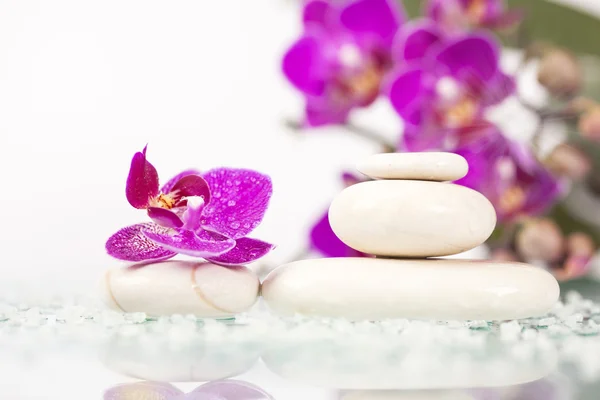 Natura morta Spa con orchidea rosa e pietra zen bianca — Foto Stock