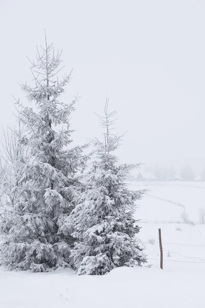 Fantástico paisaje de invierno — Foto de Stock