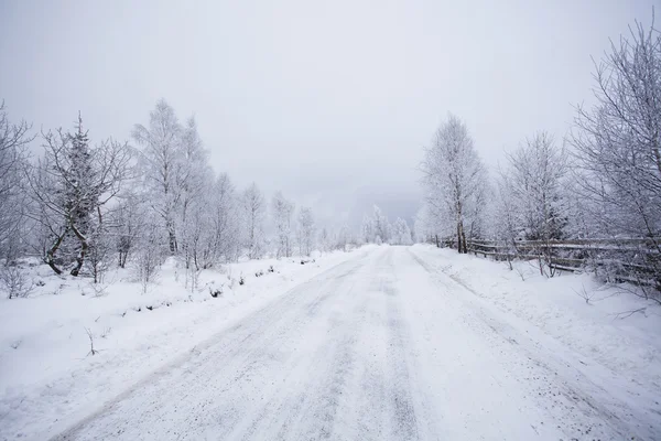 Fantastiskt vinterlandskap — Stockfoto