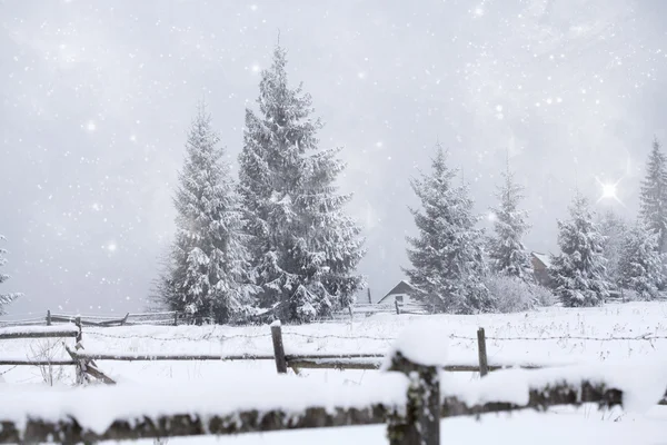 Fantástico paisaje de invierno —  Fotos de Stock