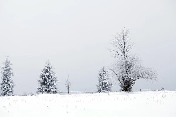 Fantasztikus téli táj — Stock Fotó
