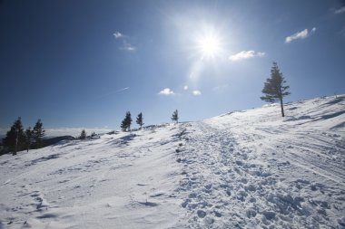 Güzel kış manzarası