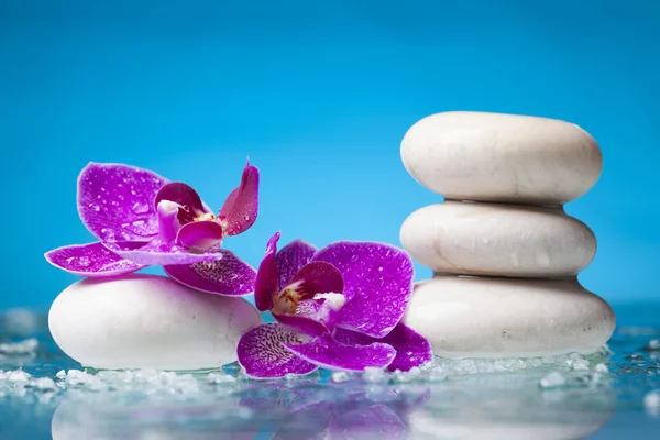 Pembe orkide ve beyaz taşlar — Stok fotoğraf