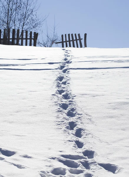 Footsteps in the snow — Stock Photo, Image