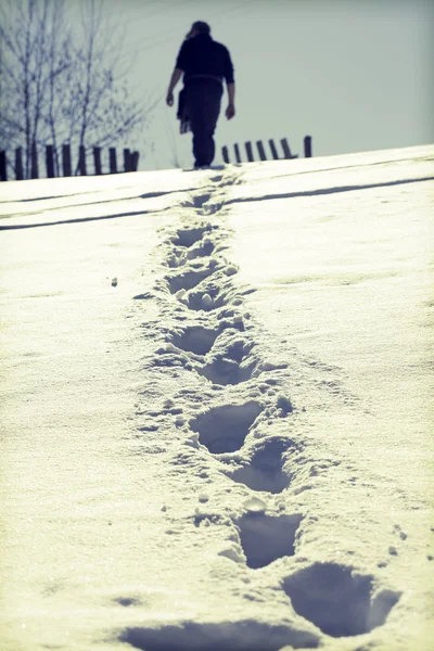 Man walking on winter path