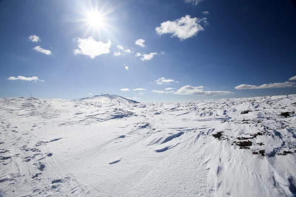 Sihirli kış manzarası — Stok fotoğraf