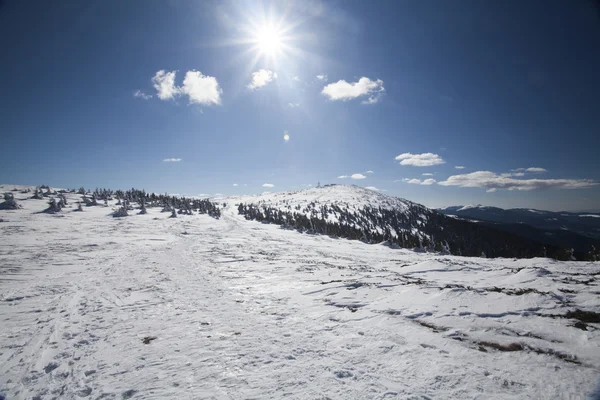 Vackert vinterlandskap — Stockfoto