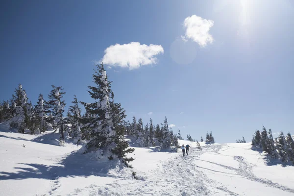 Peoples walking in winter landscape — Stock Photo, Image