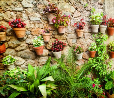 Çiçekli duvar taş ev