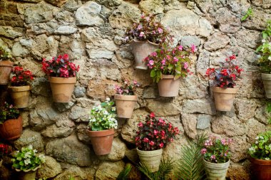 Stone house wall with flowers clipart
