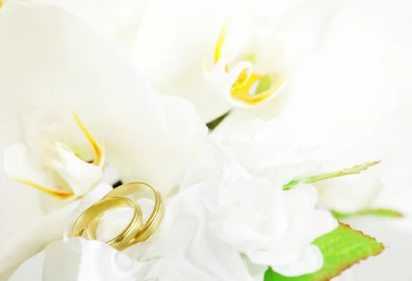 Wedding rings and white orchid — Stock Photo, Image