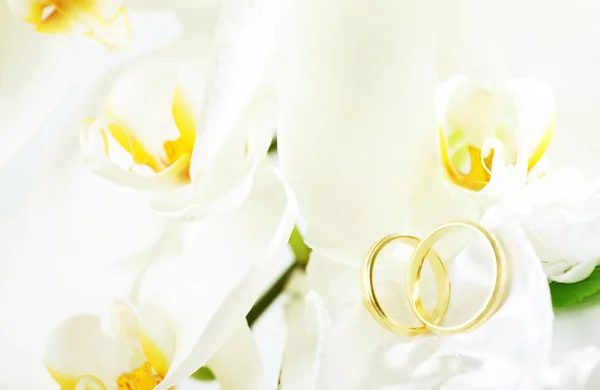 Wedding rings and white orchid — Stock Photo, Image