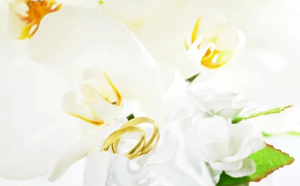 Anillos de boda y orquídea blanca — Foto de Stock