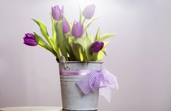 Pink tulips in retro bucket — Stock Photo, Image