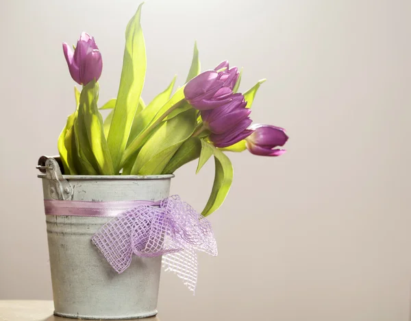 Pink tulips in retro bucket — Stock Photo, Image