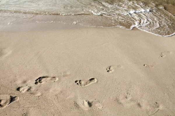 Footsteps in the sand — Stock Photo, Image