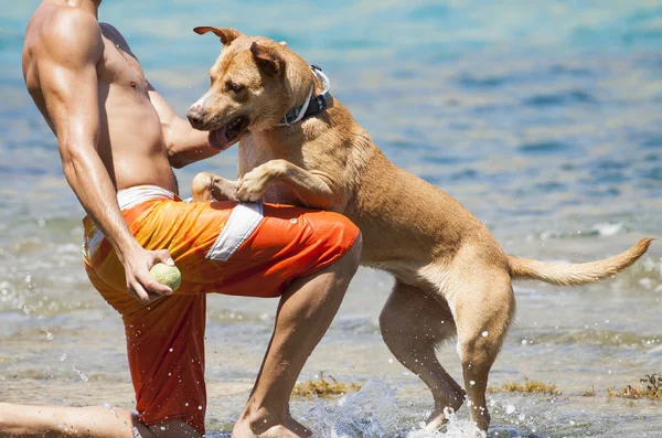 Dog playing in the water with its master — Stock Photo, Image