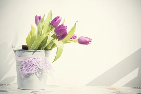 Mooie paarse tulpen — Stockfoto