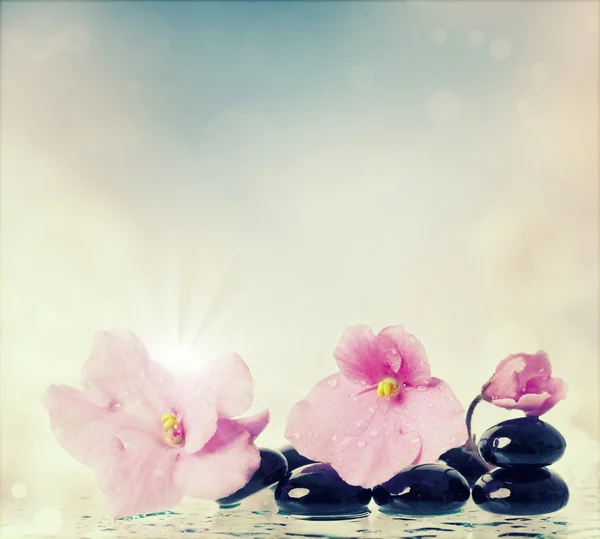 Spa zabieg masażu kamieniami i kwiat — Zdjęcie stockowe