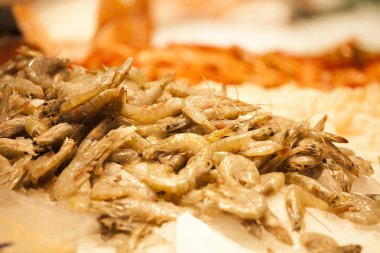 Balık pazarı, taze deniz ürünleri