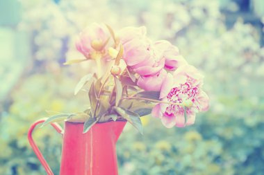 Demir sürahi ile ipeksi pembe peonies