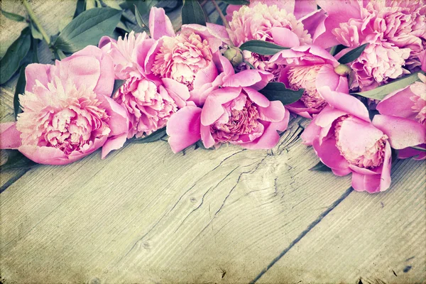 Pivoines roses sur fond bois — Photo