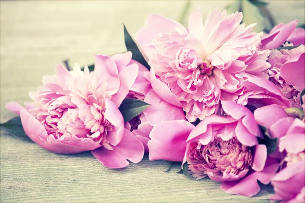 Pink peonies on wooden background — Stock Photo, Image