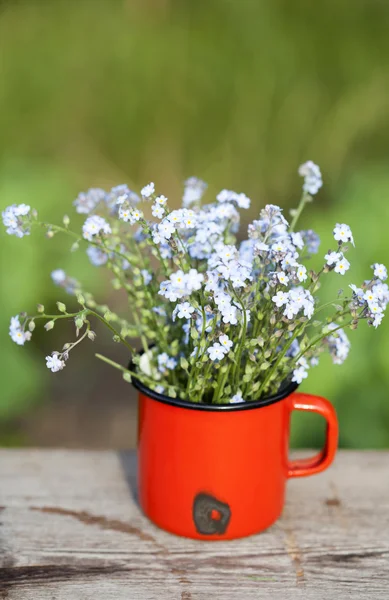 Forget me not flowers in a jar