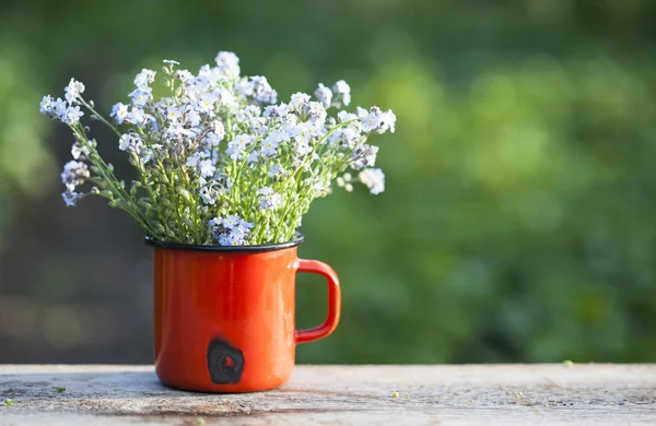 No me olvides las flores en un frasco — Foto de Stock