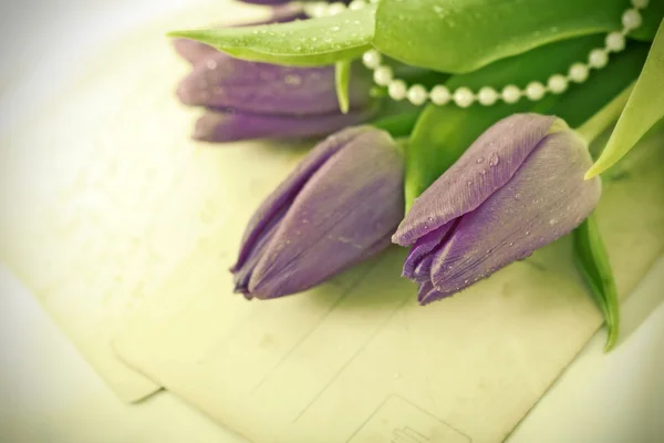Old love letters and purple tulips — Stock Photo, Image