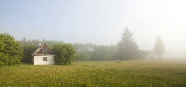 Mlhavé letní ráno v hoře — Stock fotografie