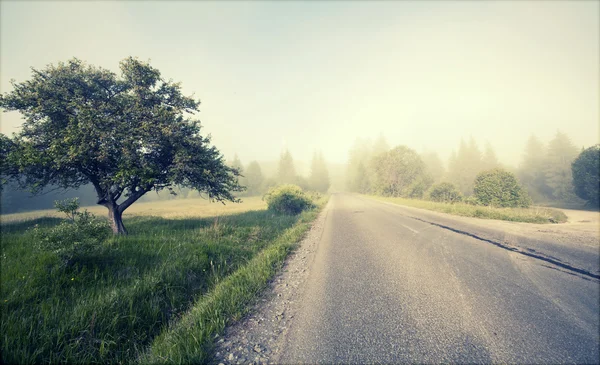 Landstraße im Morgennebel — Stockfoto