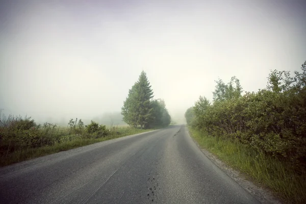 Nebelige Straße am Morgen — Stockfoto