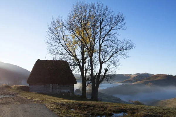 Höst i fjällen — Stockfoto