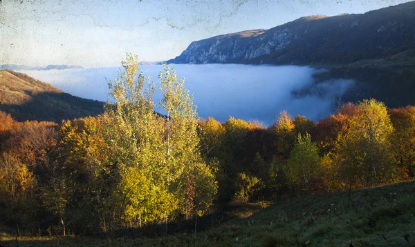 Jesienny poranek w górach — Zdjęcie stockowe
