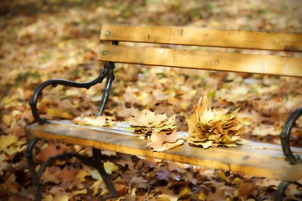 Sonbahar parkında ahşap bank — Stok fotoğraf