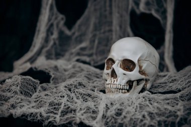 Dark Halloween background with human skull and spider web. Spooky atmosphere, horror concept and holiday decoration.