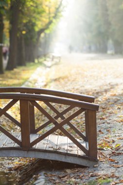 Sonbahar parkında köprü