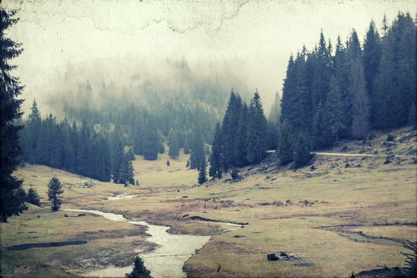 Vintage foto van een mistige bergdal — Stockfoto