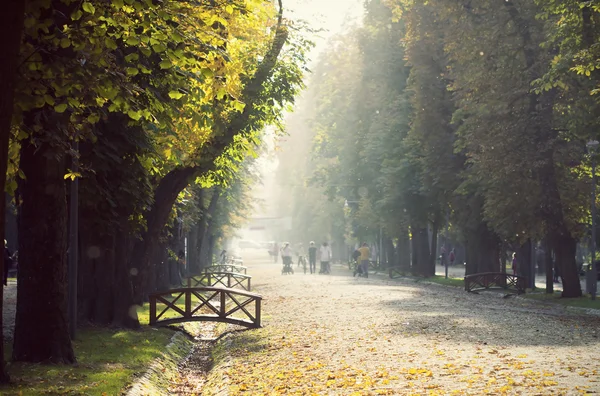 Vintage photo of an autumn park — Stock Photo, Image