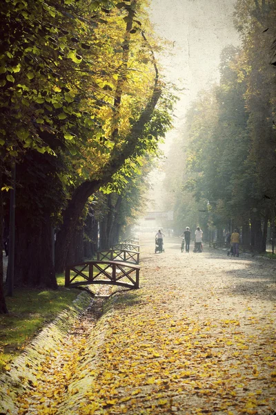 Vintage photo of an autumn park — Stock Photo, Image