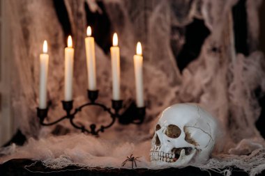 Dark Halloween background with human skull, candles and spider web. Spooky atmosphere, horror concept and holiday decoration.
