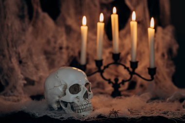 Dark Halloween background with human skull, candles and spider web. Spooky atmosphere, horror concept and holiday decoration.