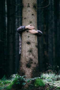 Human hand embracing a tree in the forest. Concept of people love nature and protect from deforestation or pollution or climate chang