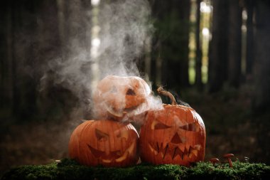 Ürkütücü Cadılar Bayramı Jack o fener kabakları sisli ya da kasvetli bir ormanda dumanlı 