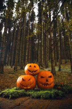 Ürkütücü Cadılar Bayramı Jack o karamsar ormandaki balkabakları 