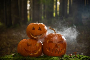 Ürkütücü Cadılar Bayramı Jack o fener kabakları sisli ya da kasvetli bir ormanda dumanlı 