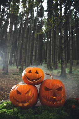 Ürkütücü Cadılar Bayramı Jack o karamsar ormandaki balkabakları 