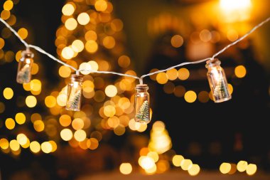 Christmas Lights - String lights hanging on bokeh background