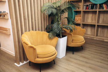 Bir restoranın salonunda iki koltuk ve iki yeşil bitki.